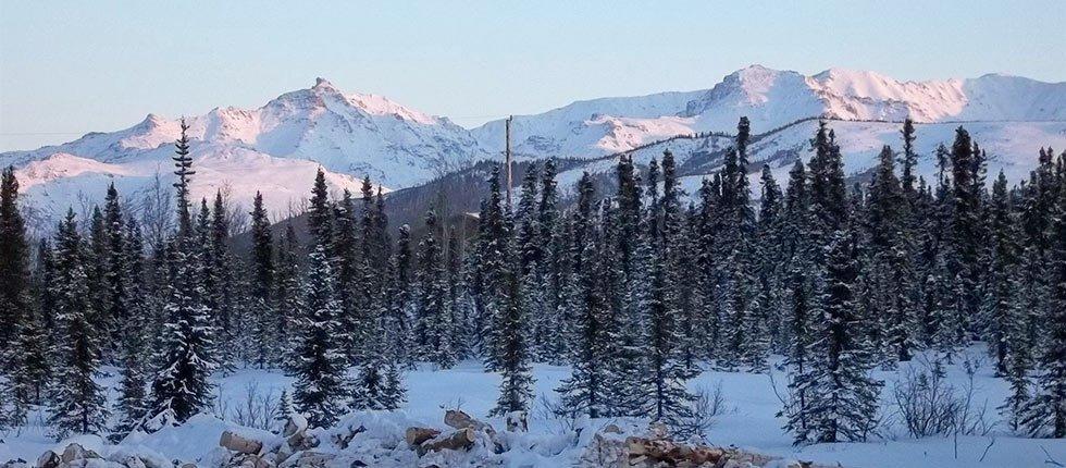 Denali Touch Of Wilderness B&B Healy Zewnętrze zdjęcie